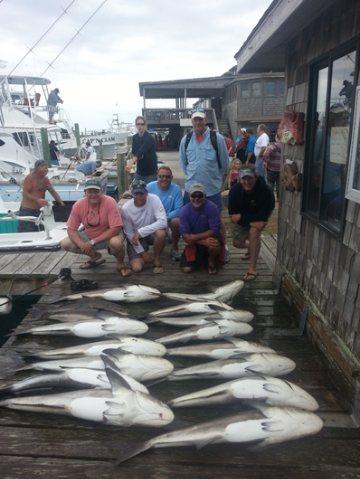 Hatteras Fishing Report 5/18
