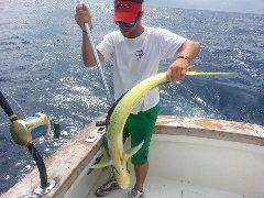 Hatteras Fishing Report 5/2/2015