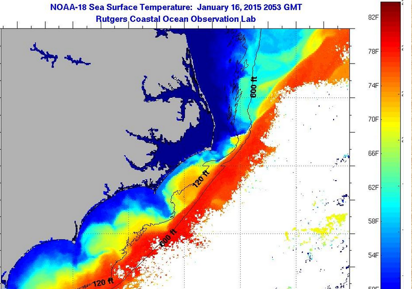 Hatteras Fishing Report 01/16/2015