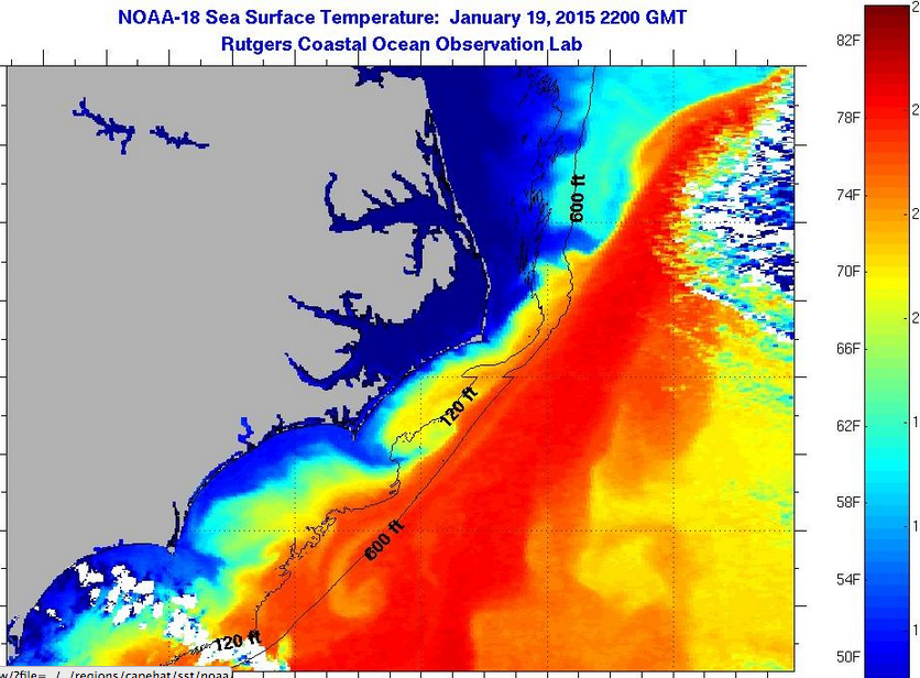 Hatteras Fishing Report 1/19/2015